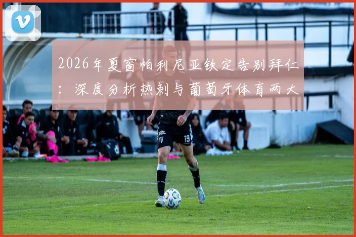 2026年夏窗帕利尼亚铁定告别拜仁:深度分析热刺与葡萄牙体育两大潜在下家的优劣势与转会前景