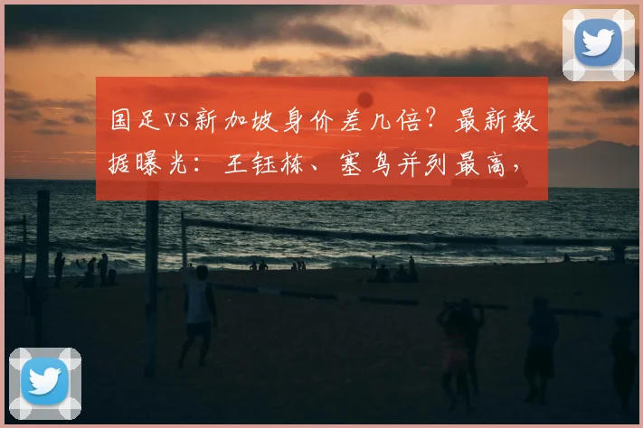 国足vs新加坡身价差几倍？最新数据曝光：王钰栋、塞鸟并列最高，国足2026世界杯预选赛阵容解析