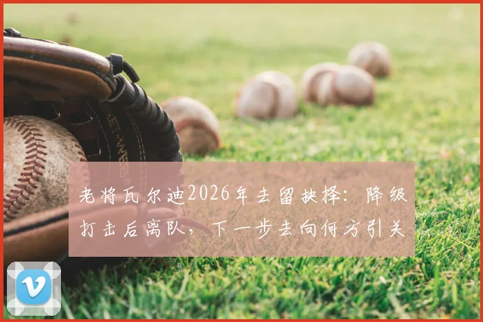 老将瓦尔迪2026年去留抉择：降级打击后离队，下一步去向何方引关注