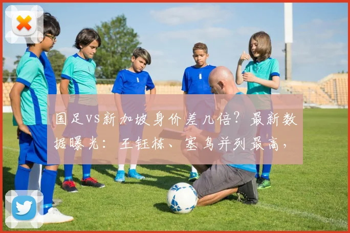 国足vs新加坡身价差几倍？最新数据曝光：王钰栋、塞鸟并列最高，国足2026世界杯预选赛阵容解析