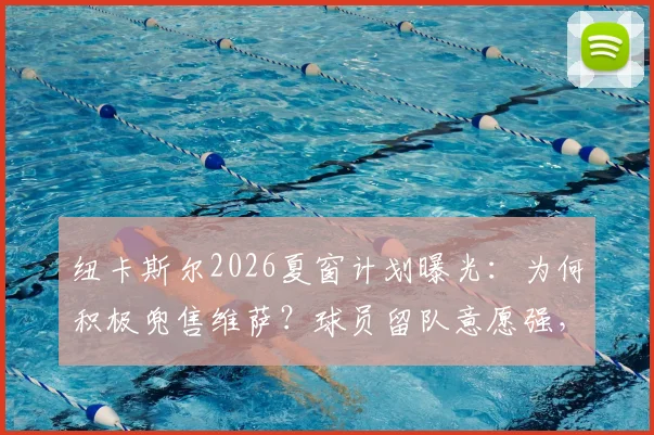 纽卡斯尔2026夏窗计划曝光：为何积极兜售维萨？球员留队意愿强，合同与FFP成关键